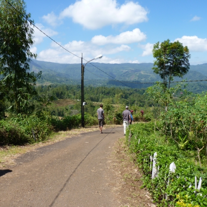 Malino Sulawesi Indonesië Foto's Jalan
