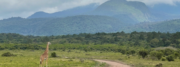 Rondreis Tanzania