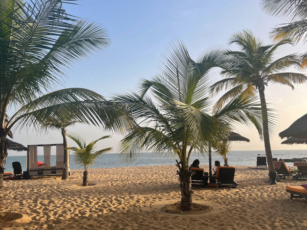 strand met palmboompjes