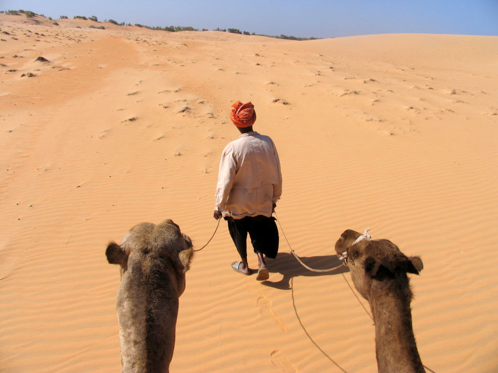 Op stap met de kamelen in Lompoul