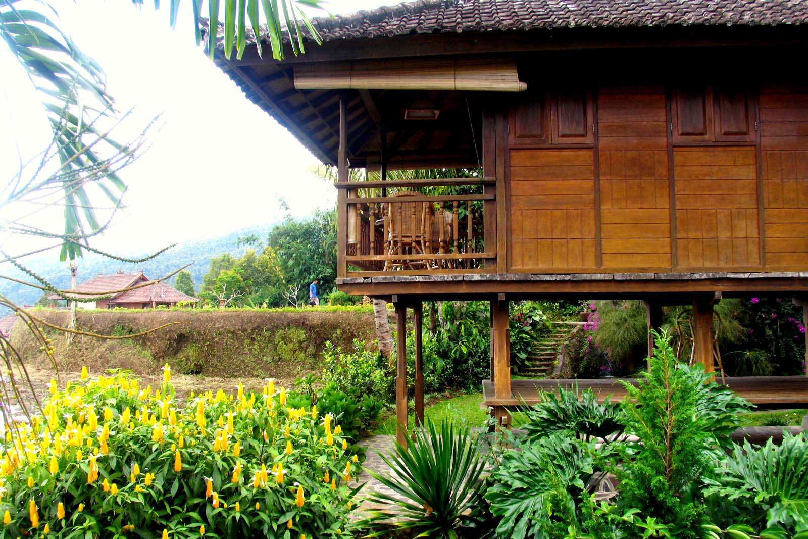 hotel in munduk