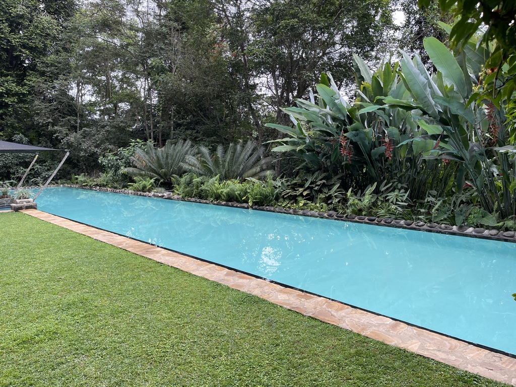 rechthoekig zwembad met cactusplanten langs