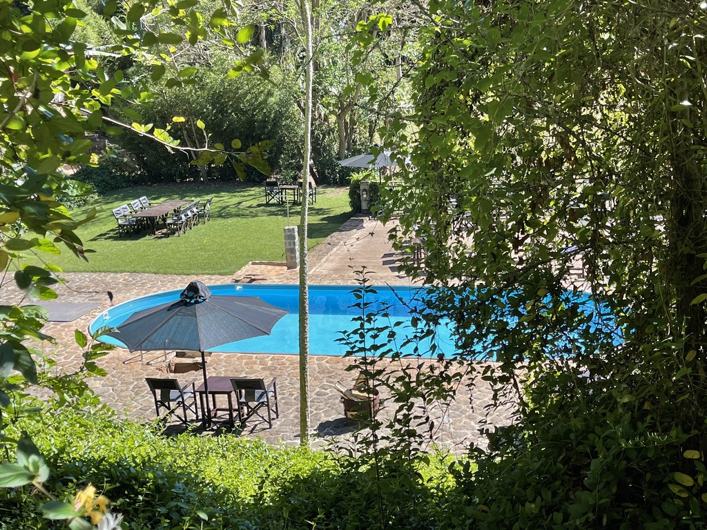 groot zwembad in de tuin
