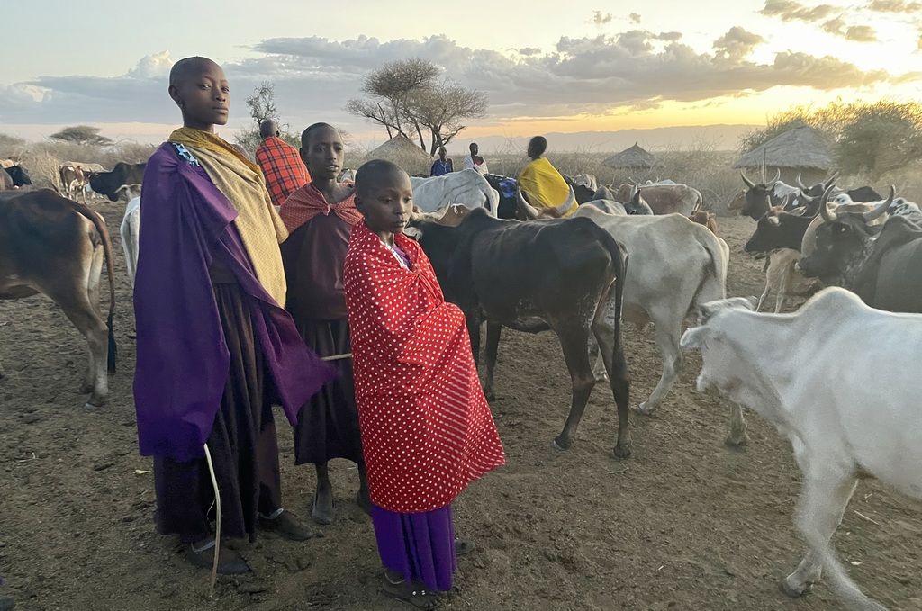 lokale Maasai bevolking